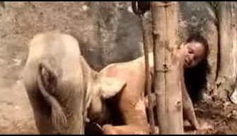 Untamed boar fucked a slutty skotolozhnitsa in a clearing zoo porno porn watch and download