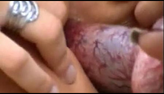 Vagina anjing elastis yang diolesi dan disetubuhi di pantat bestiality video