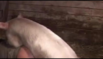 Dirty pig fucks a horny woman hard in the barn