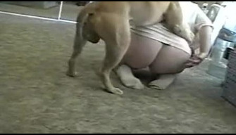 The girl is constantly fucked by a dog while her husband is not there zooporno homemade real